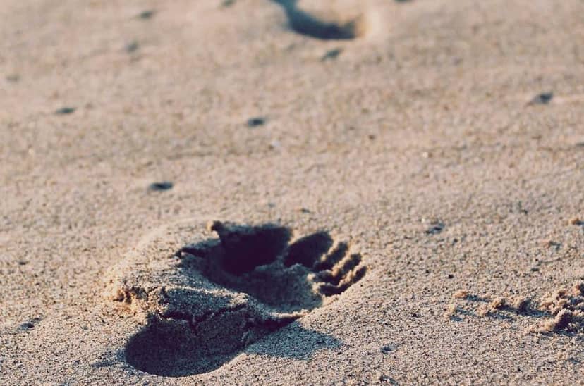 Unauth title IjzYuwrk